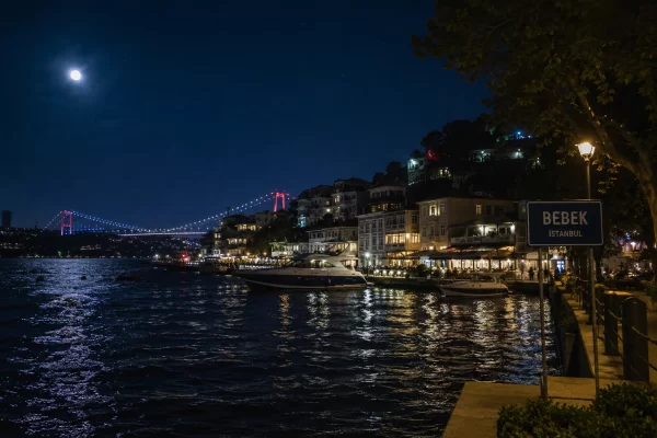 bebek tekel servisi